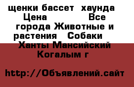 щенки бассет- хаунда › Цена ­ 20 000 - Все города Животные и растения » Собаки   . Ханты-Мансийский,Когалым г.